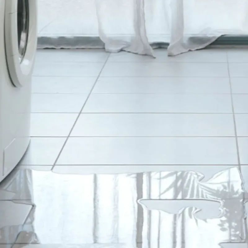 Appliance Leak Cleanup in Blaine, WA